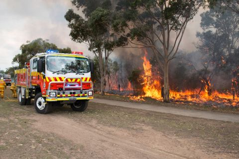 Bushfires