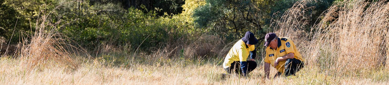 Fire of two fire fighters looking through dry tussock  banner image